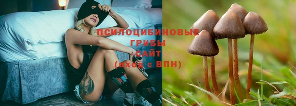 соль курить ск Алексеевка