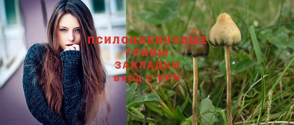 соль курить ск Алексеевка