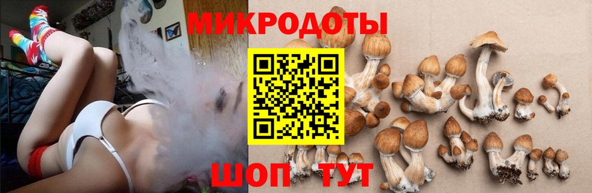 Галлюциногенные грибы Psilocybine cubensis  Псилоцибиновые грибы Cubensis  как найти   Вход с VPN  Владивосток 